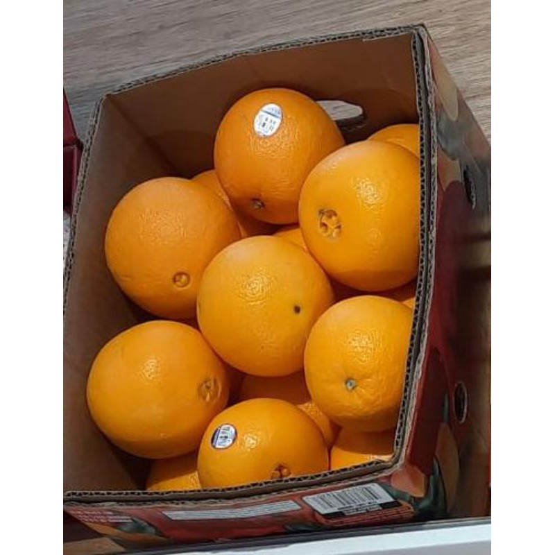 JERUK SUNKIST DUS / BUAH SEGAR / PARCEL BUAH