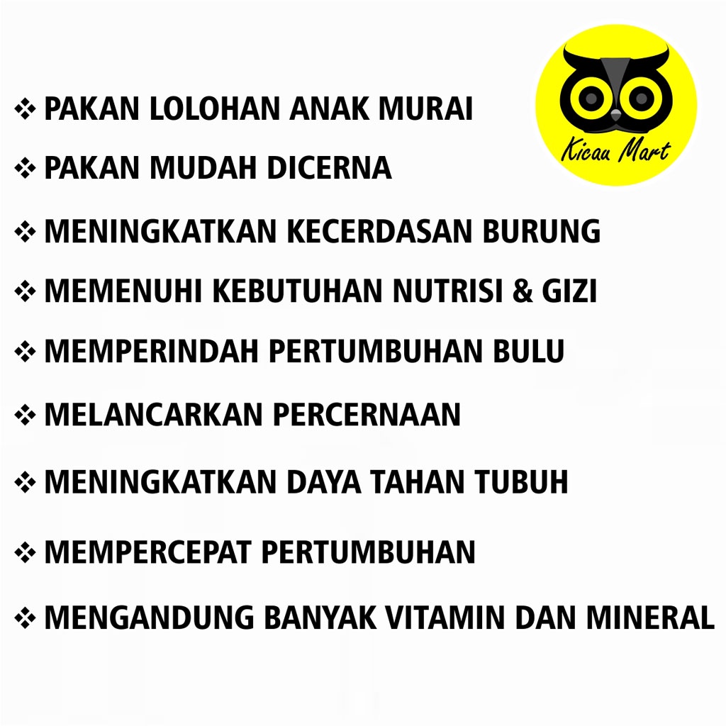 PAKAN LOLOHAN BONGSOR MAKANAN ANAKAN BURUNG MURAI BATU PAKAN LOLOHAN CINDIL PIYIK ANAKAN BURUNG MURAI BATU