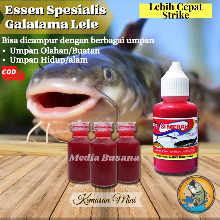 SRW.14My22ᴶ– Essen Esen Ikan Lele Galatama Lele Ampuh Paling Jitu Irex Merah Umpan Galatama Gt Haria