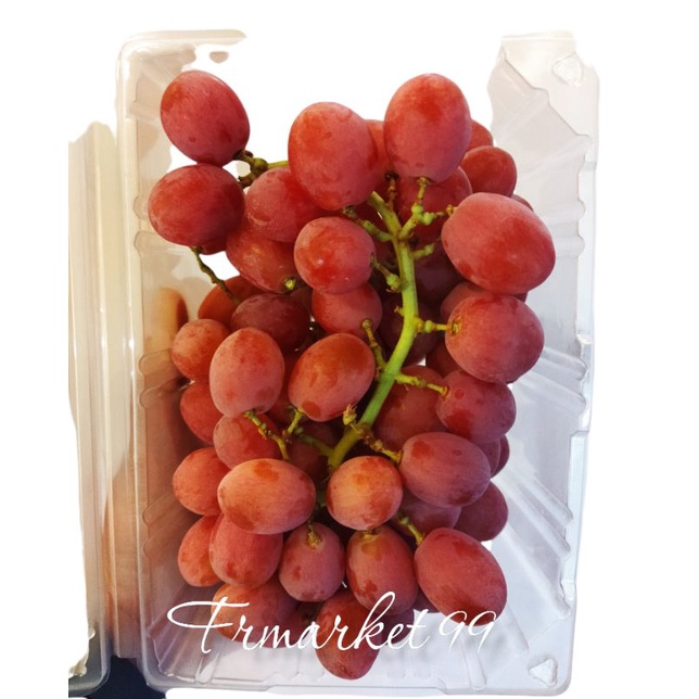 

Anggur merah rally Seedlees Australia | 1 kg