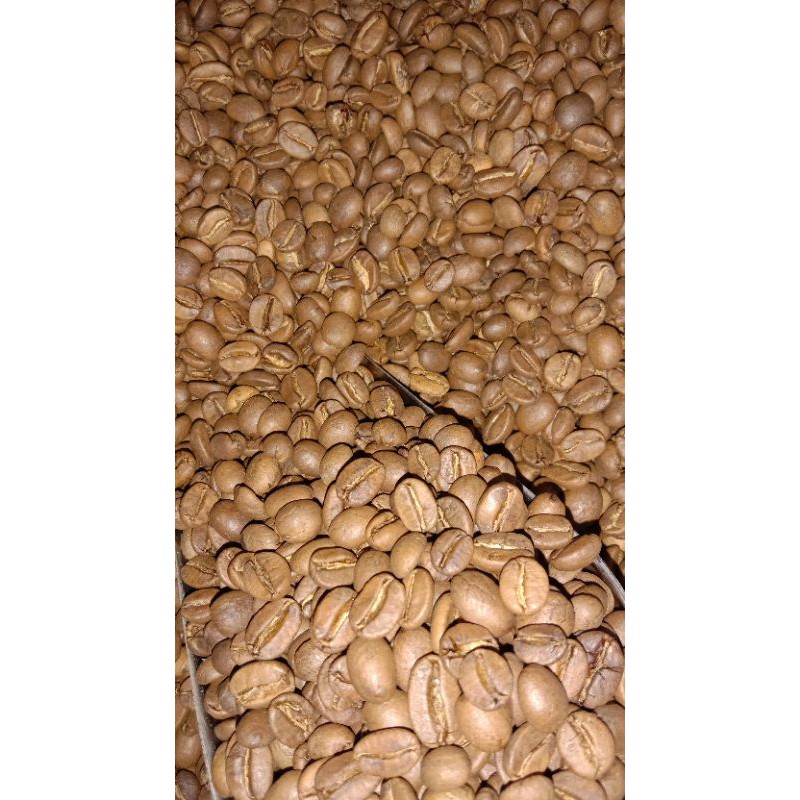 

ROAST BEAN - KOPI SANGRAI ARABICA grade A 500gr