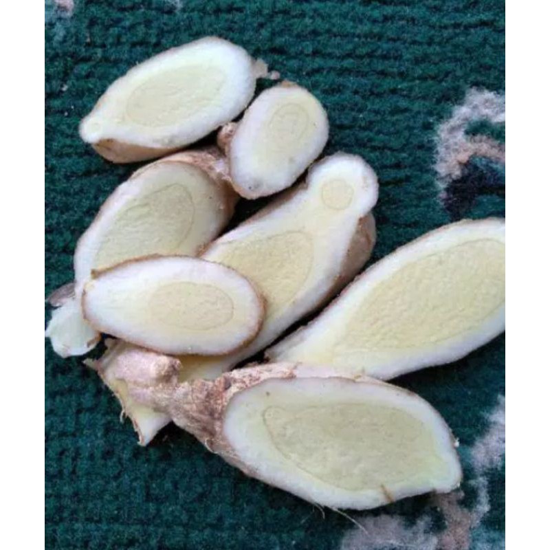 

kunyit putih/ Curcuma herbal segar (1kg)