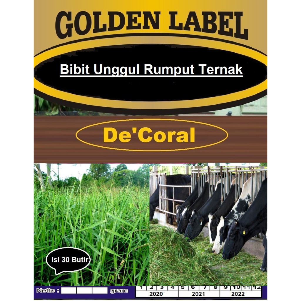 Bibit Unggul Rumput Ternak | Benih Rumput Pakan Ternak