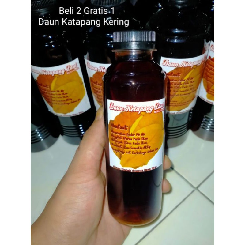 

Ekstrak Daun Katapang 250ml Cair (Beli 2 gratis 1 Pack katapang Kering)