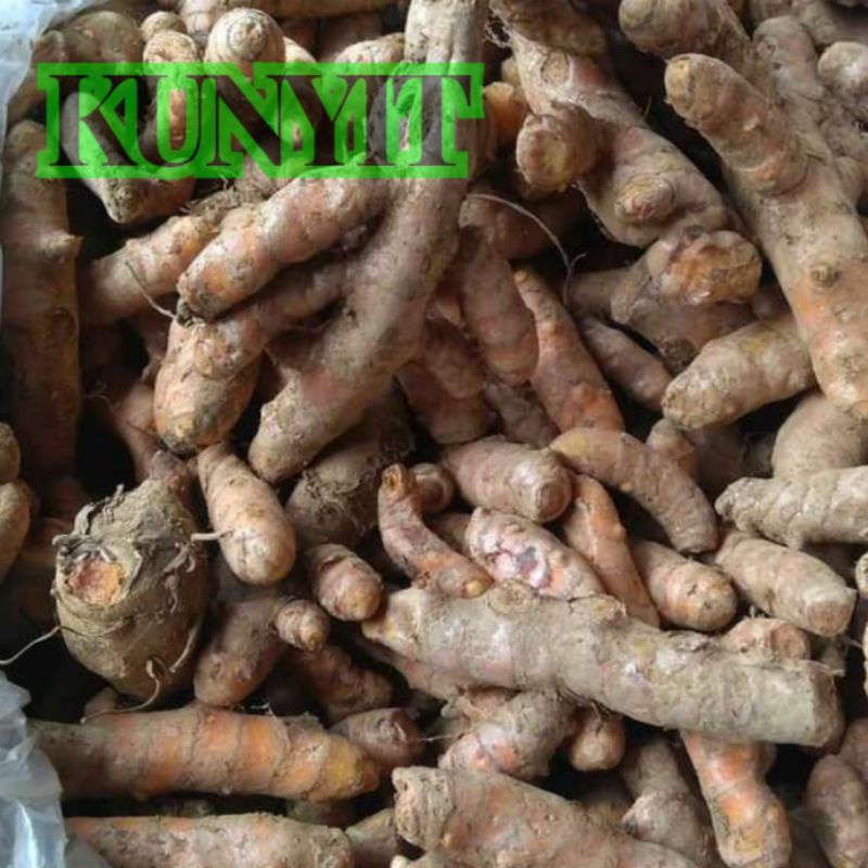 

kunyit rempah alami jamu
