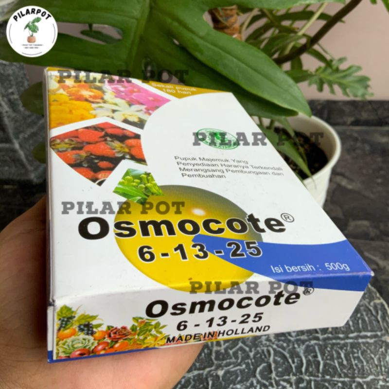 pupuk penyubur buah  dekastar 6-13-25 500gr - bunga &amp; buah(osmocote)