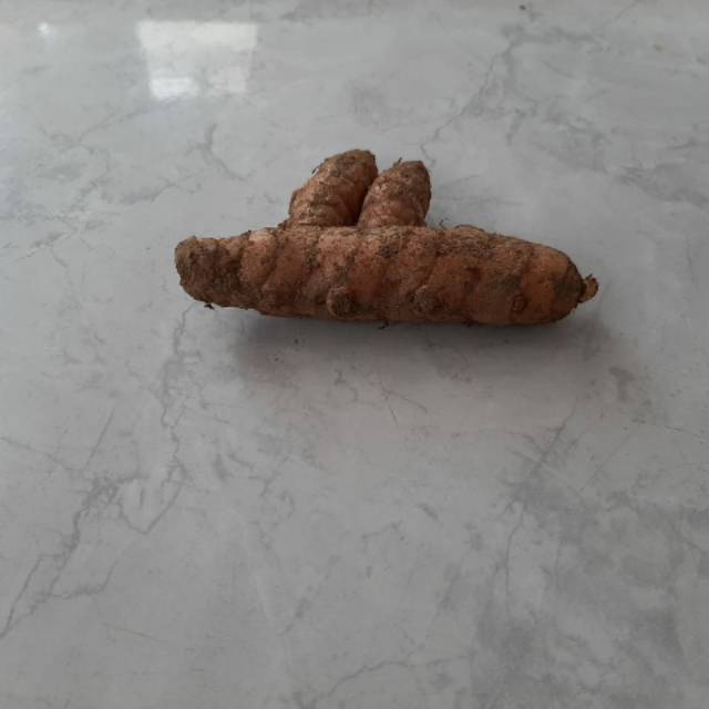 

KUNYIT PER KG