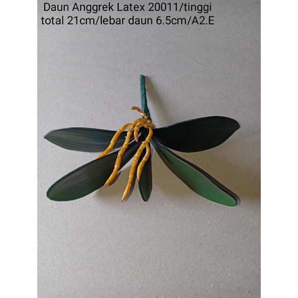 Daun Anggrek Latex Kecil 20011