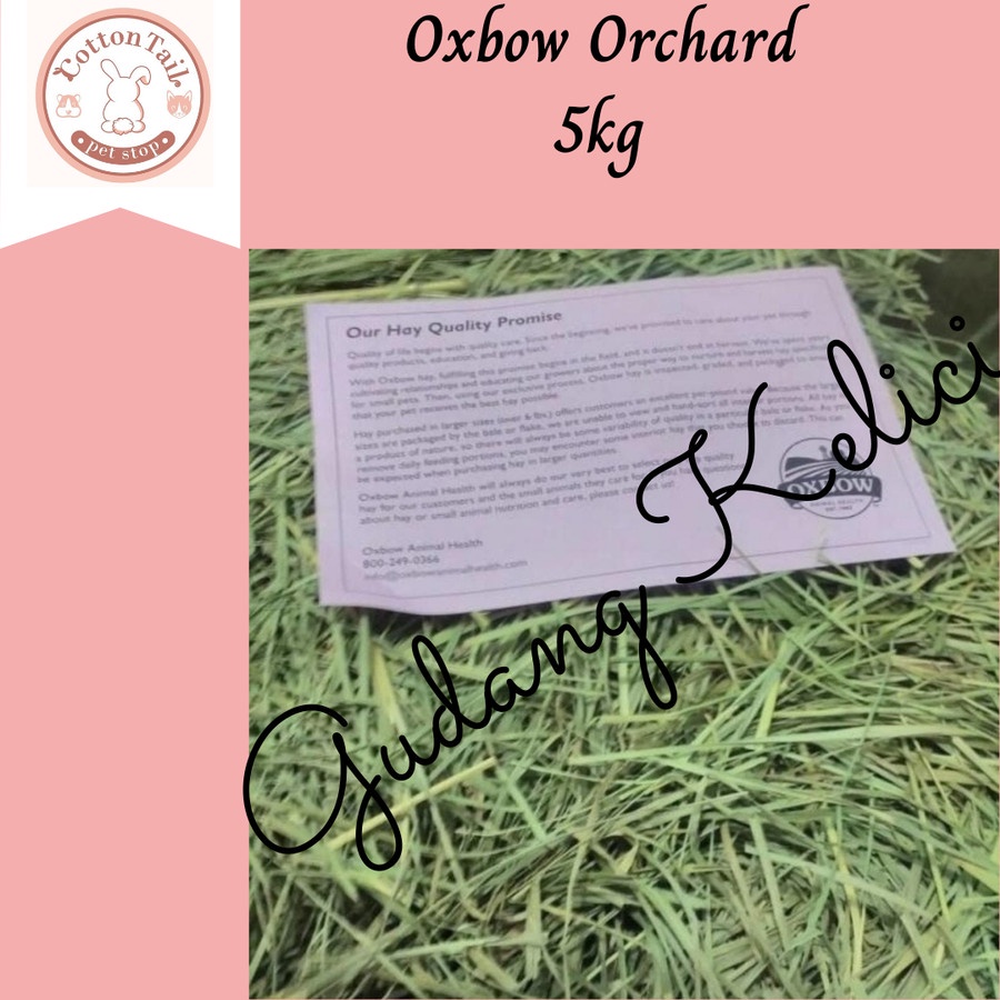 Makanan kelinci guinea pigs OXBOW Orchard hay 5kg Setara Rumput Timothy