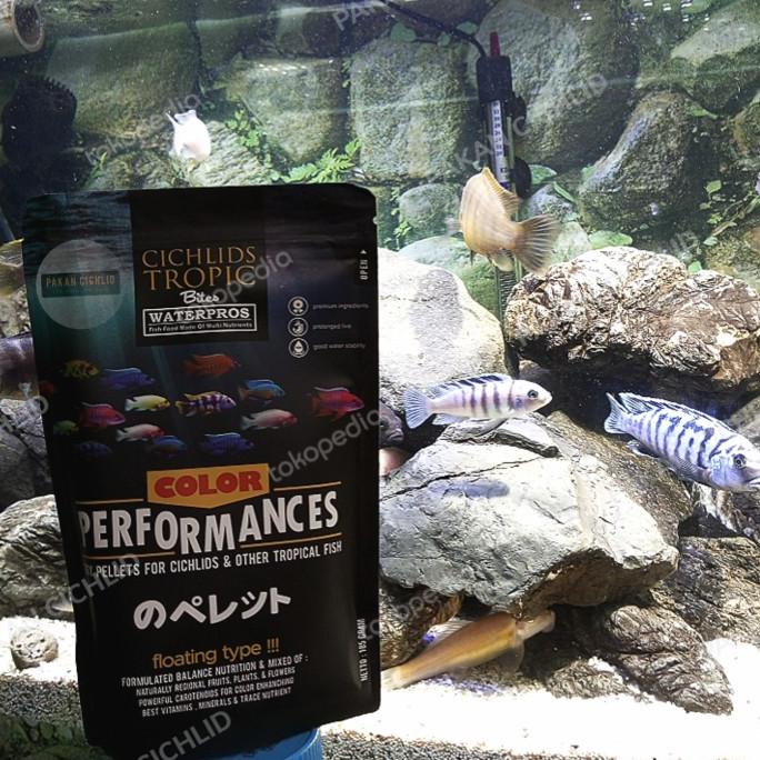 [PAKAN CICHLID] Pelet Ikan WATERPROS Pump Performance 185 gram