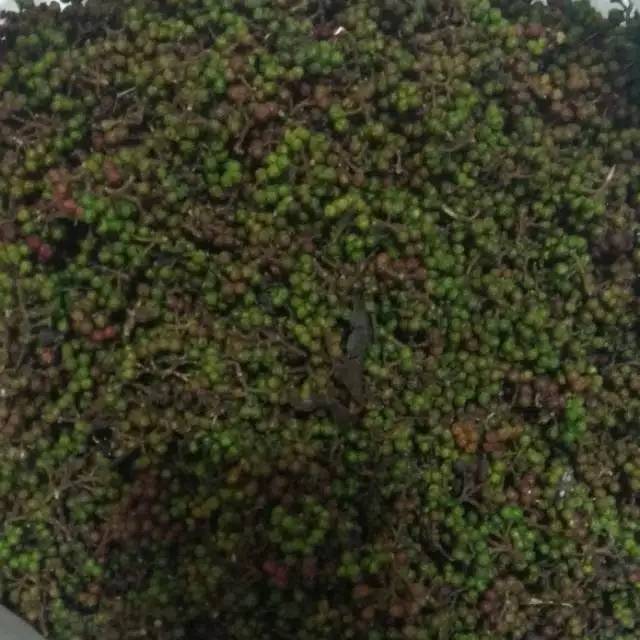 

Andaliman medan,berat 250 gram