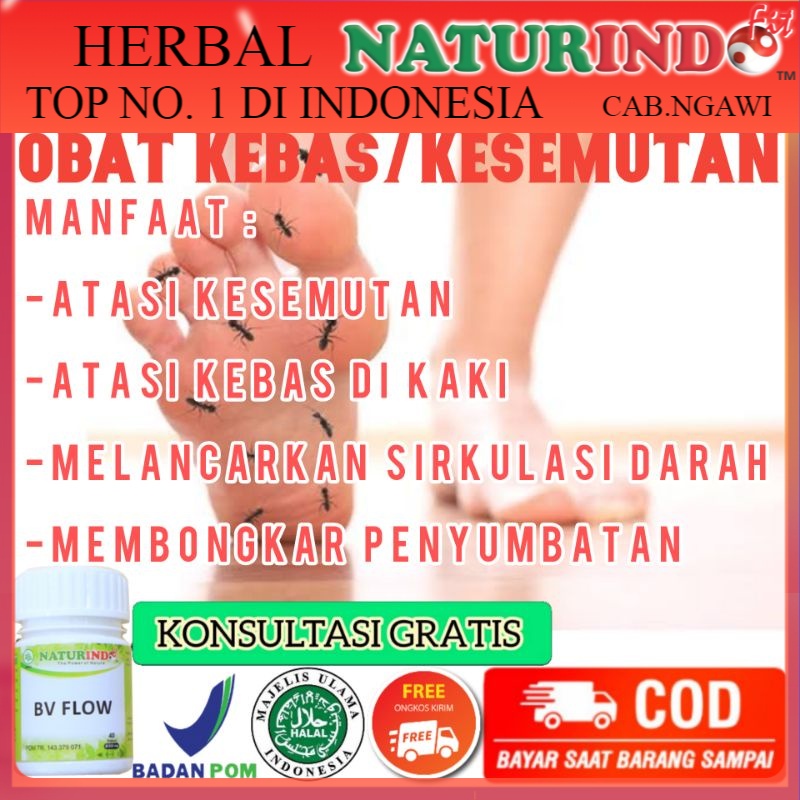 Obat Kesemutan dan Kebas Herbal Ampuh