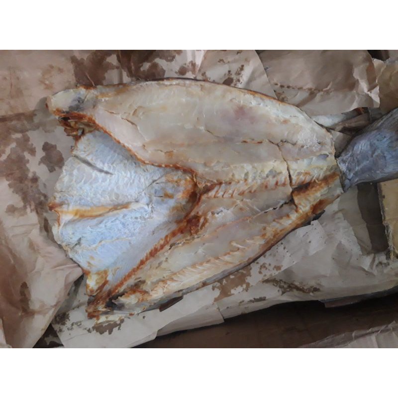 

Ikan Asin Jambal Roti Tanpa Tulang / Asin Jambal Tanpa Tulang