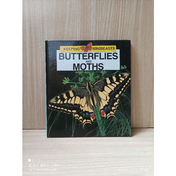 Buku Keeping Minibeasts Butterflies And Moths