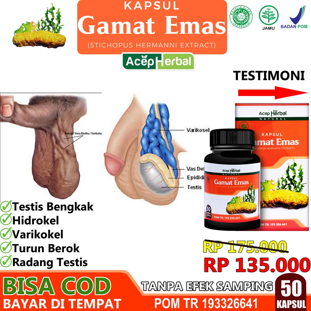 Obat Turun Berok Testis Kendur Buah Zakar Turun Varikokel Testis Bengkak Hidrokel Tanpa Efek Samping Shopee Indonesia