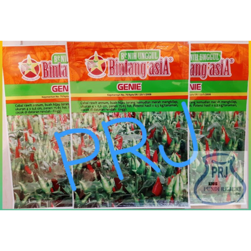 Benih Cabe GENIE 10 Gr - Bibit Cabai Rawit Hijau Annum Pedas | PUNDI REJEKI | PRJ |