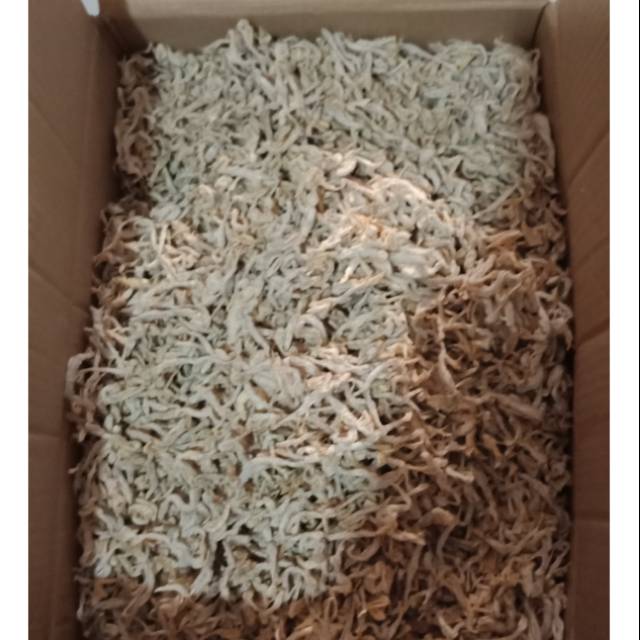 

JAMBRONG per 500gram