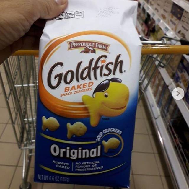 Goldfish