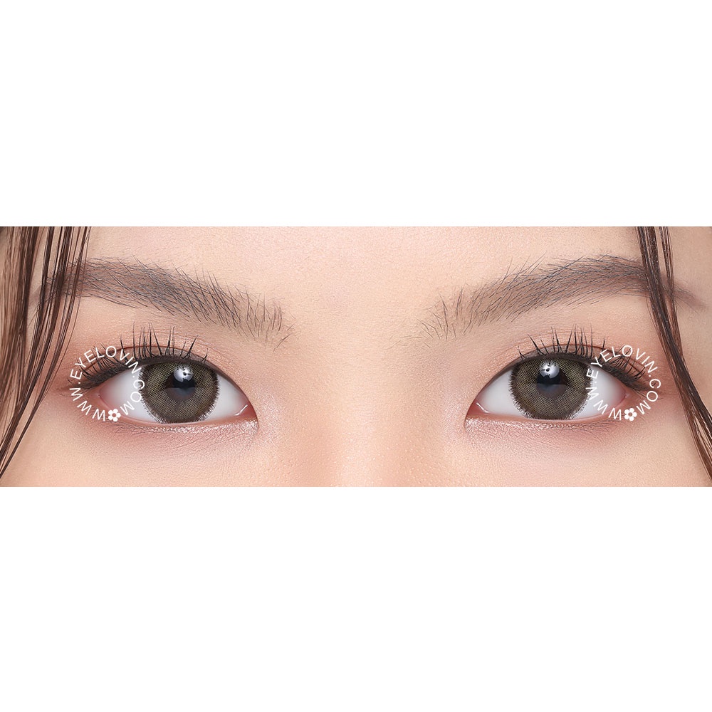 Softlens Dreamcolor I - Mini Nobluk Brown