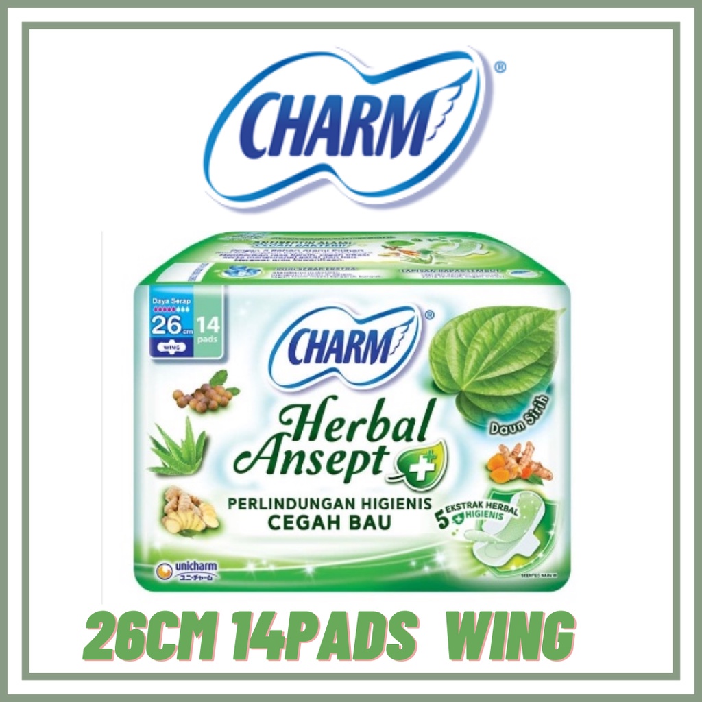 Charm Herbal Ansept Wing 26Cm 14P