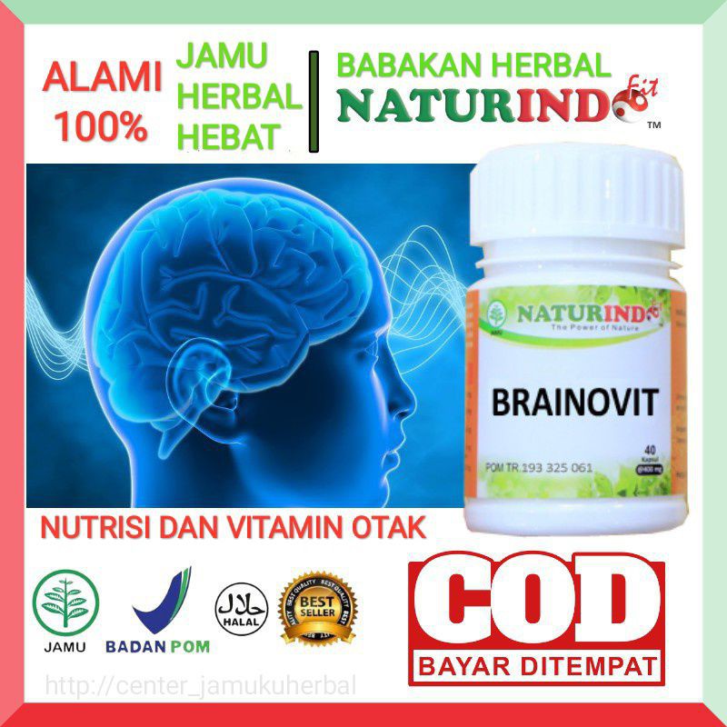 NUTRISI OTAK BRAINOVIT NATURINDO.HERBAL VITAMIN OTAK
