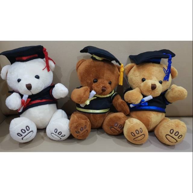Boneka beruang wisuda teddy bear ukuran sedang