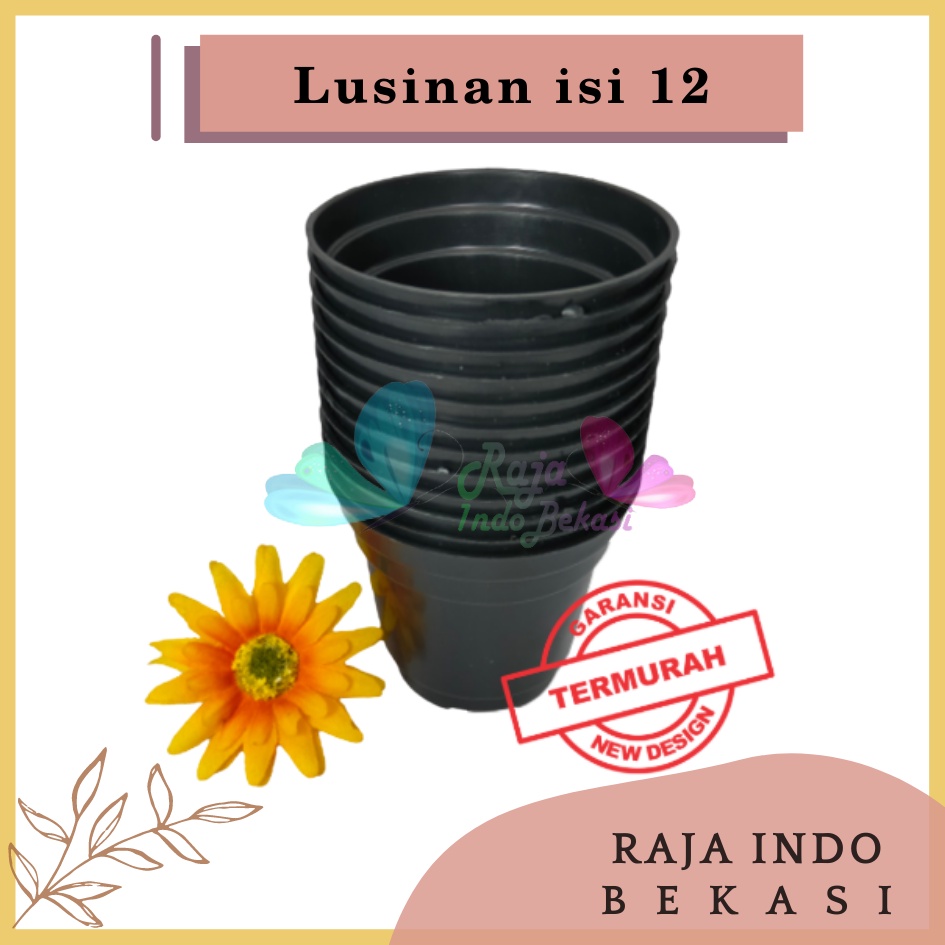 Lusinan Pot 8 Cm Hitam Pot 8cm Plastik Putih Mini Minimalis Kaktus Sukulen Lucu Murah Pot Pembibitan - Lusinan Isi 12pcs