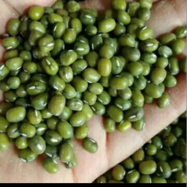 

KACANG HIJAU 500 kg