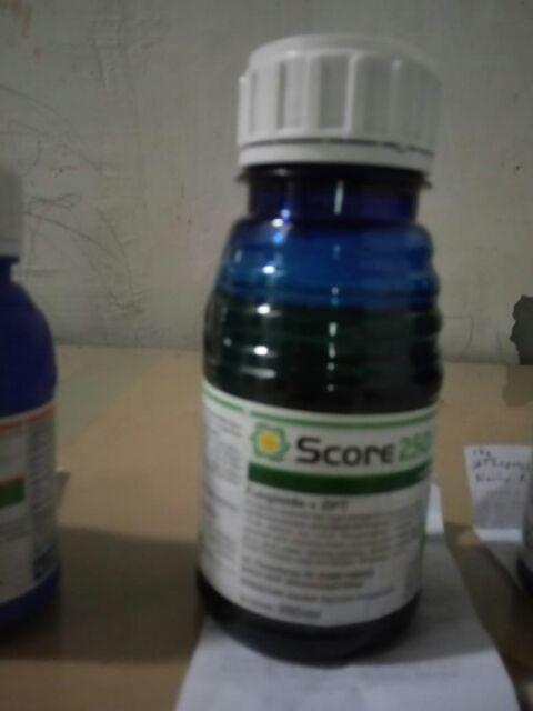 Fungisida Filia 525se 250 Ml