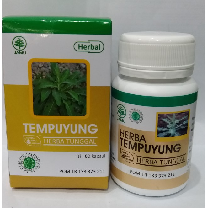Kapsul Tempuyung HIU mengatasi penyakit Batu Ginjal dan Batu Empedu