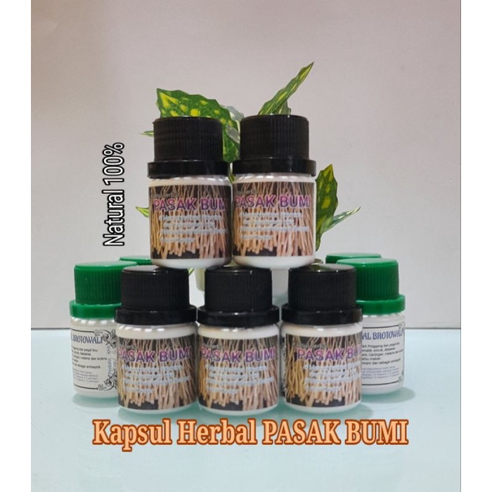 

Kapsul herbal PASAK BUMI menambah Stamina pria