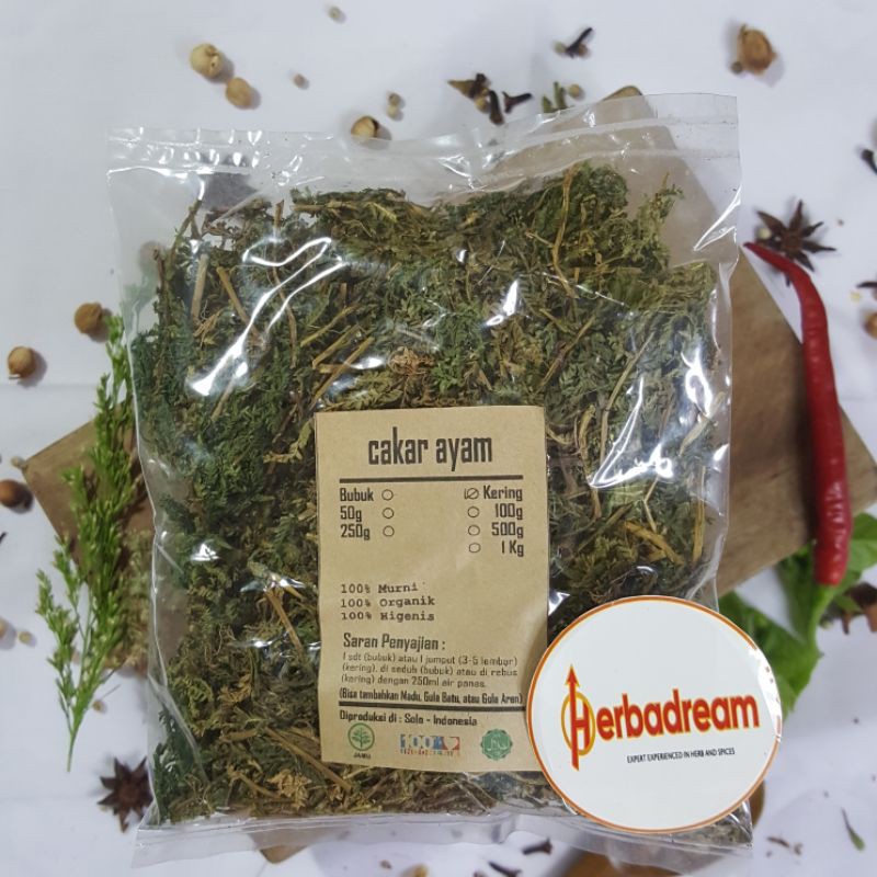 

1 KG DAUN CAKAR AYAM CEKER PITIK SALAGINELLA DOEDERLEINII RUMPUT SOLO YE ZHAO CLAWS LEAF SIMPLISIA KERING DRIED