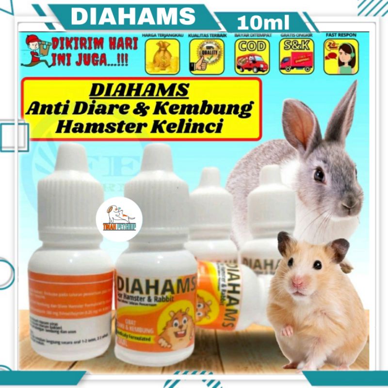 Obat Hamster Kelinci Anti Diare Kembung Mencret DIAHAMS 10ml