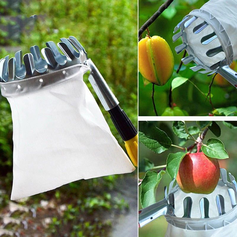 Alat Pemetik Buah - berkebun - fruit picker