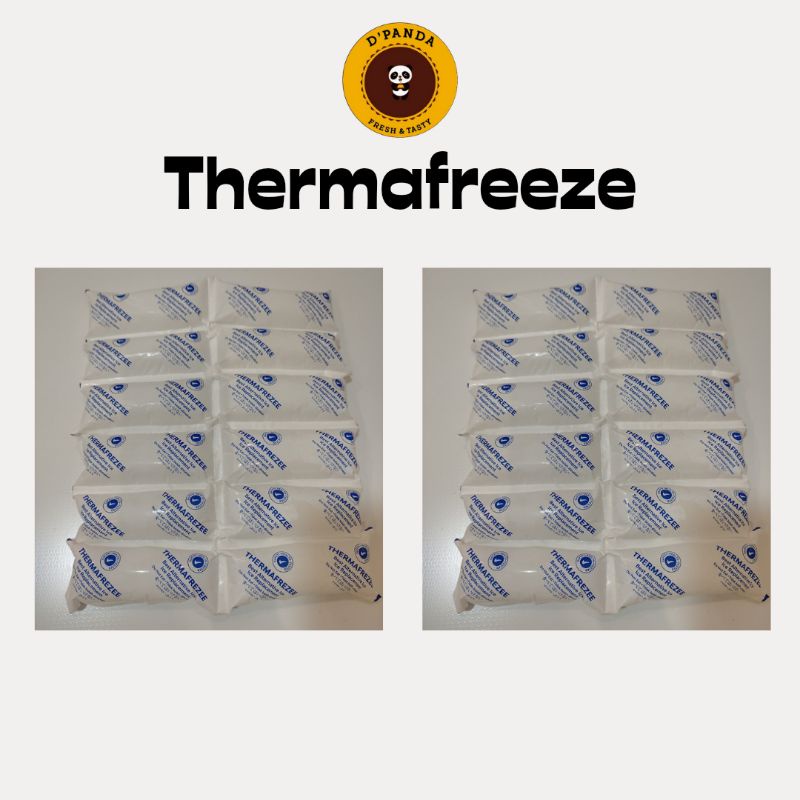 THERMAFREEZE SEMARANG / ICE GEL PACK SEMARANG KONDISI BEKU