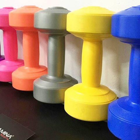 Barbel Dumbel Fitness 1 Kg