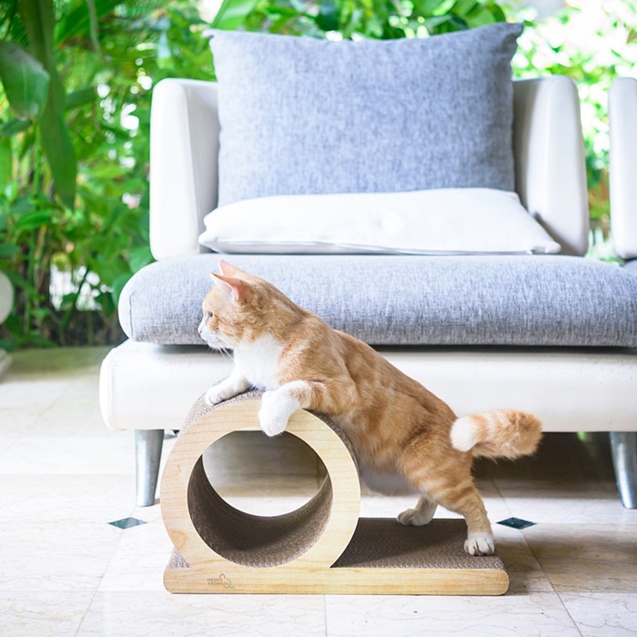 Mainan Kucing Cakaran Kucing Mainan Hewan Kucing Cat Scratcher 