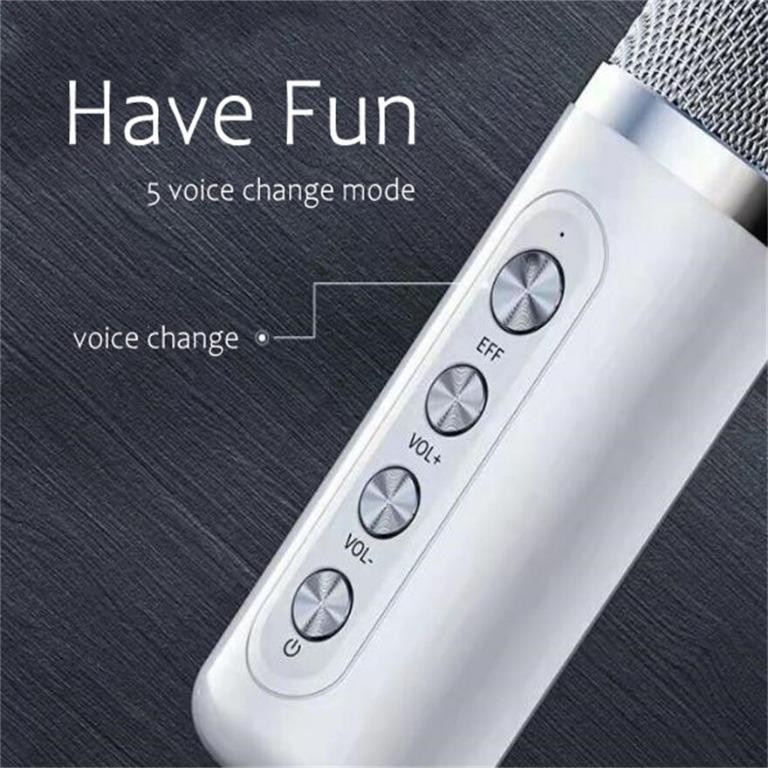 YS-203 50+50W Voice Change Karaoke Speaker Bluetooth for Mobile Phone Speaker Bluetooth