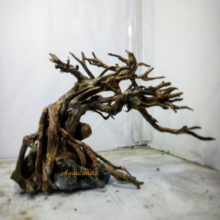 Hiasan Aquarium / Bonsai Aquascape Untuk Aquascape Akar Kayu Rasamala Akar Kayu Senggani
