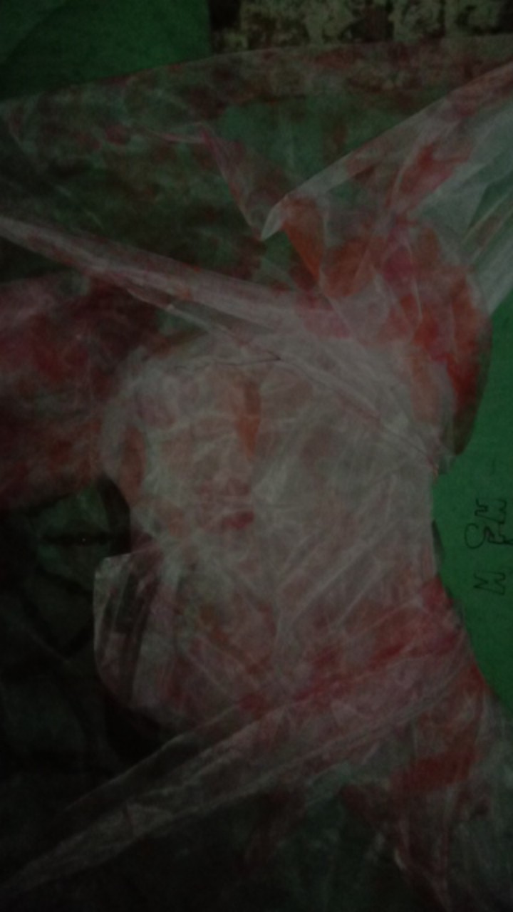 [kelambu Bunga Manohara] Kotak Mawar 180x200 Kelambu Gantung Kotak Murah