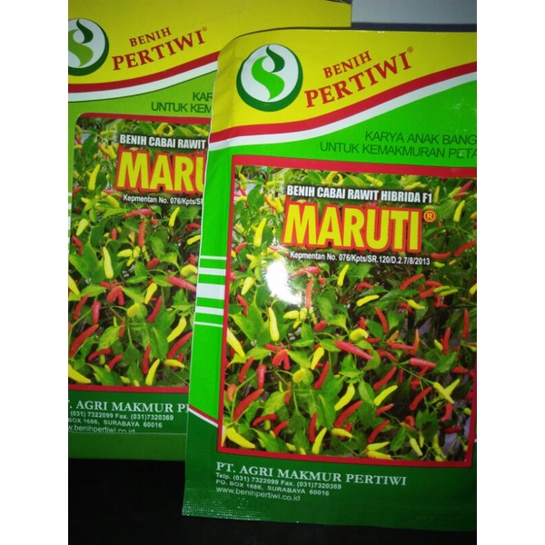 benih cabe rawit MARUTI