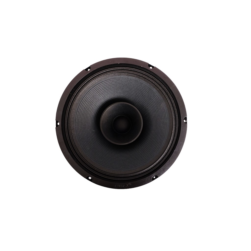 speaker 12 inch audax 12252 m8 full range