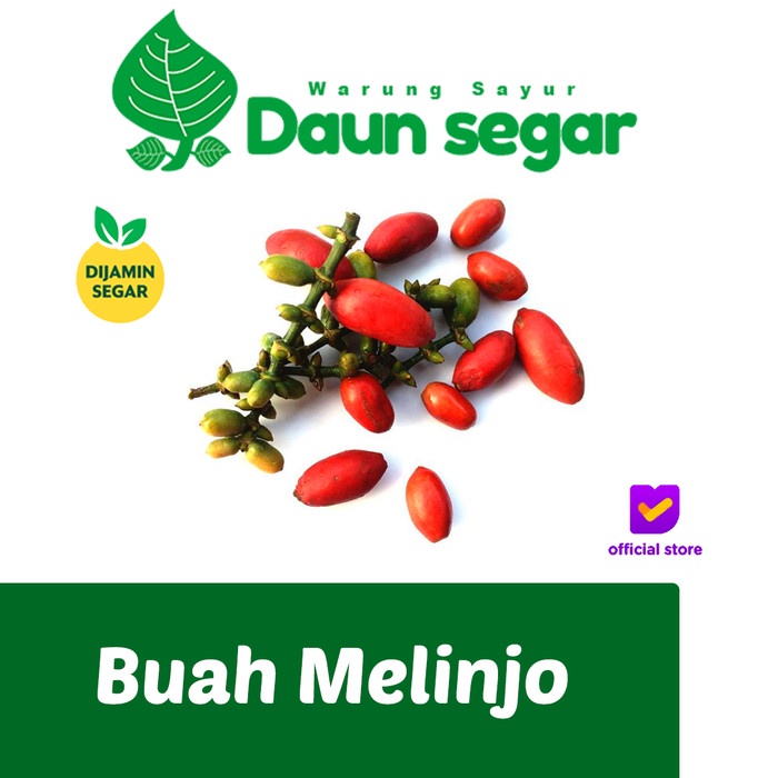 

Buah Melinjo Sayur asem 150gr Fresh