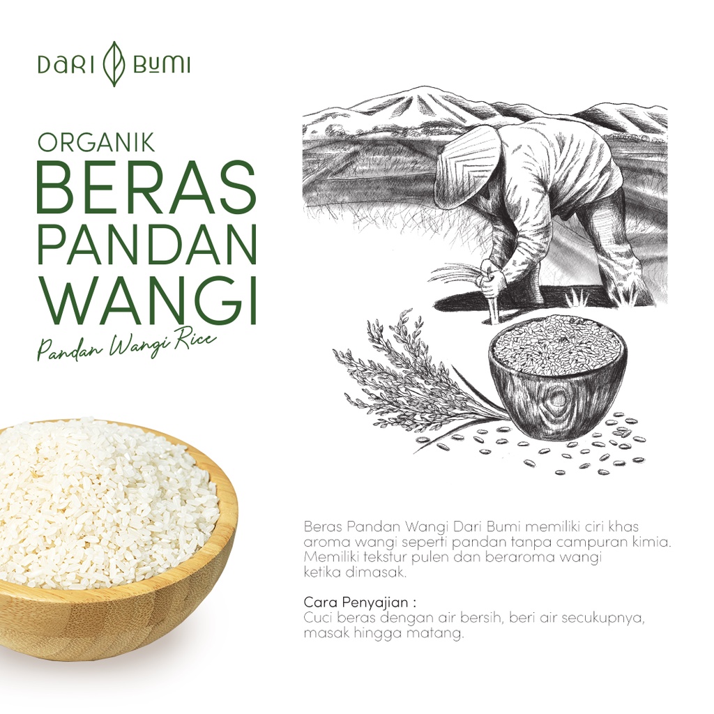 Beras Organik 1 Kg daribumi Premium Pure Organic