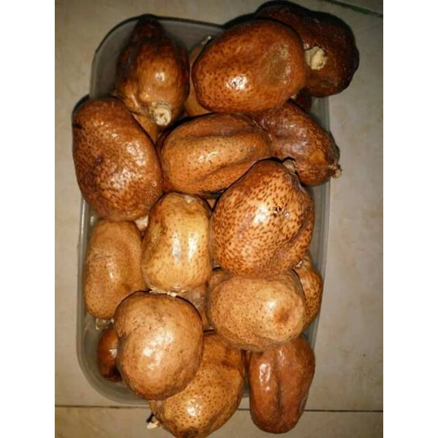 

BUAH ZURIAT