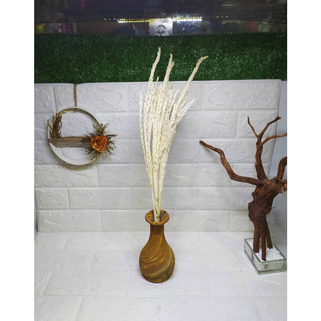 Bunga Kering Gandum PADI PUTIH NATURAL- Rustic aesthetic Cantik Hiasan