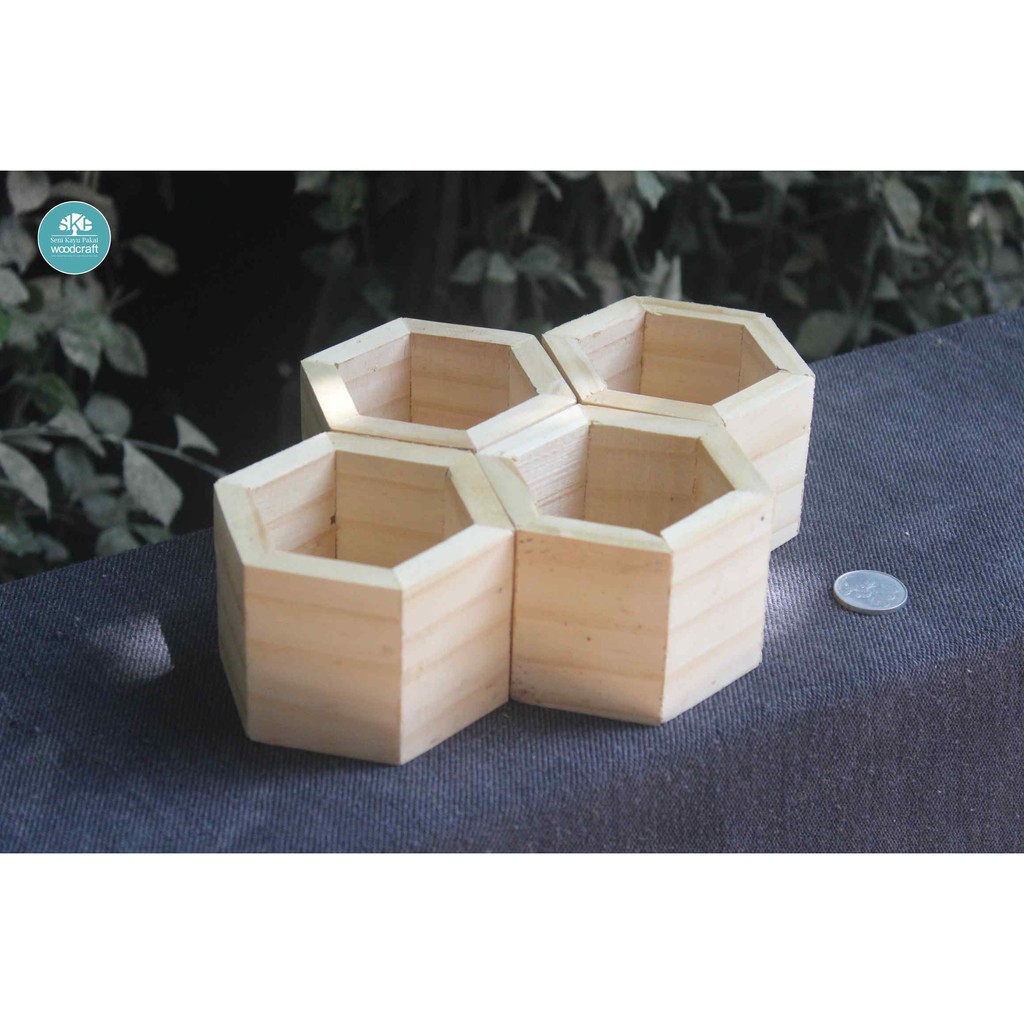 Pot Kayu Heksagonal Pot Kaktus Pot Succulent Dekorasi Kayu Pot Mini