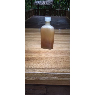 

Madu Gagela/Klanceng/Klenceng/Trigona/Kelulut asli