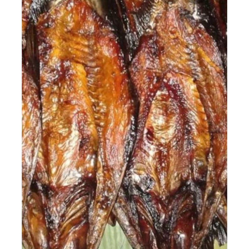 

ikansalaipatin