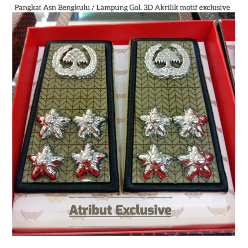 PANGKAT ASN PNS BENGKULU LAMPUNG GOLONGAN 3D